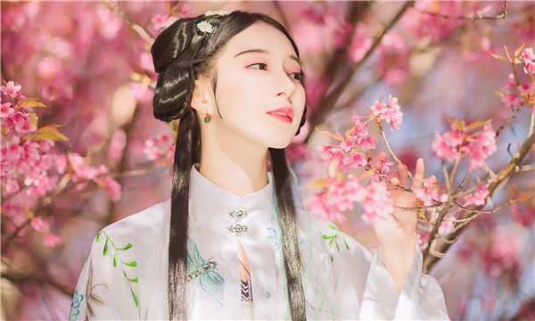 金凤供卵试管婴儿：助您实现家庭梦想的科学方案